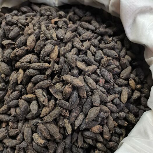 玉林母丁香，无硫全干母丁香大量上市，批零兼营，价格美丽