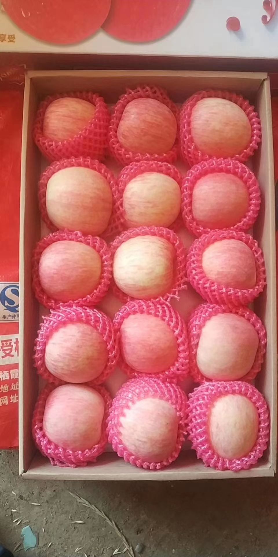 红富士苹果 正宗烟台栖霞苹果