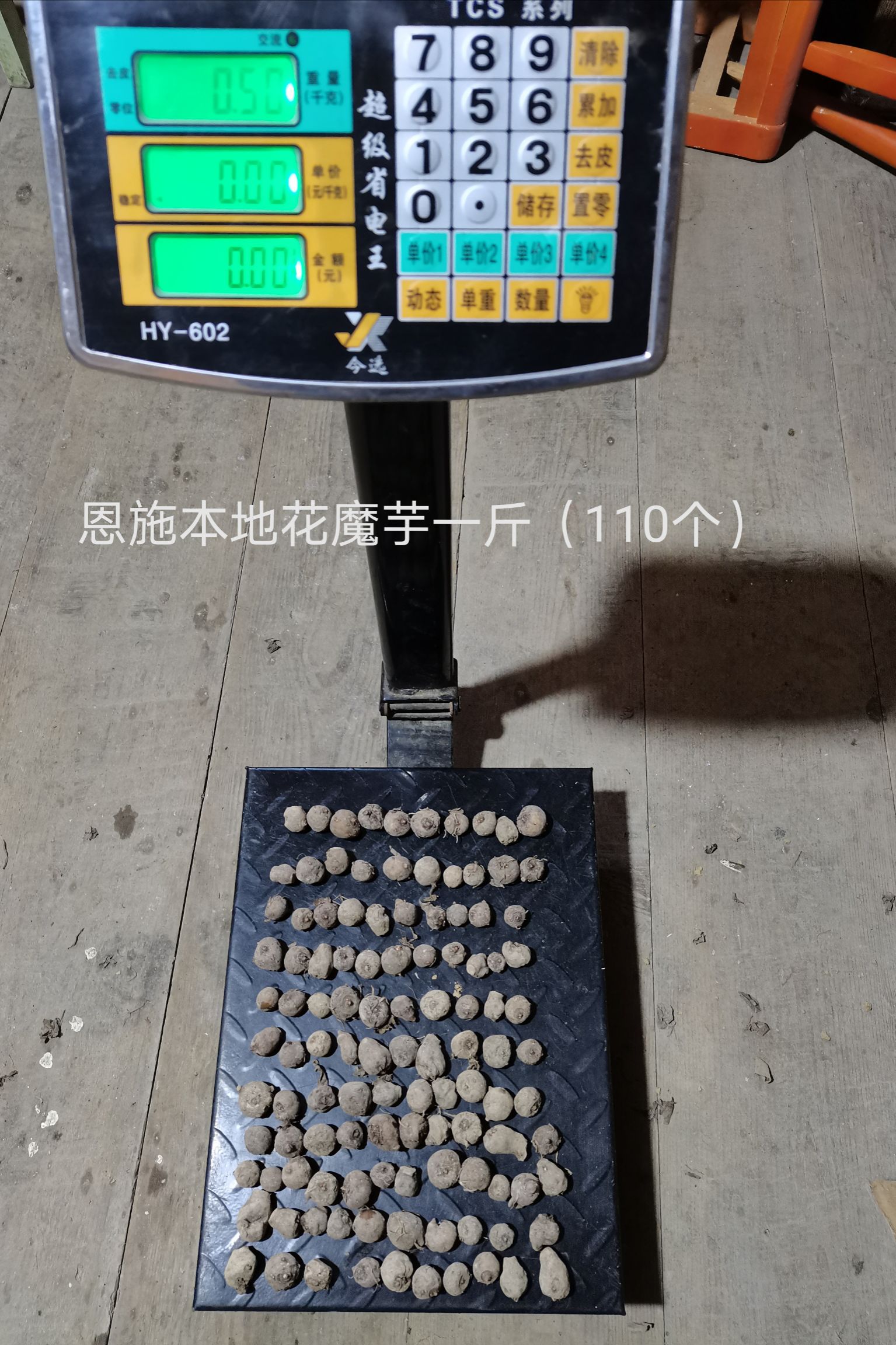 湖北恩施花魔芋高山育种基地