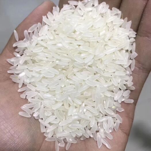 泰来县淮安大米 一等品 一季稻 粳米 