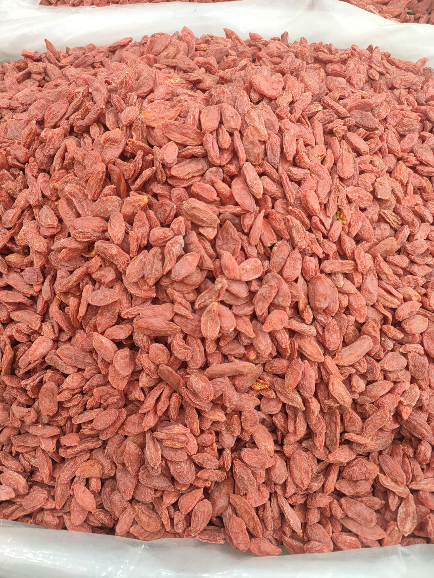 青海柴达木盆红枸杞 直销