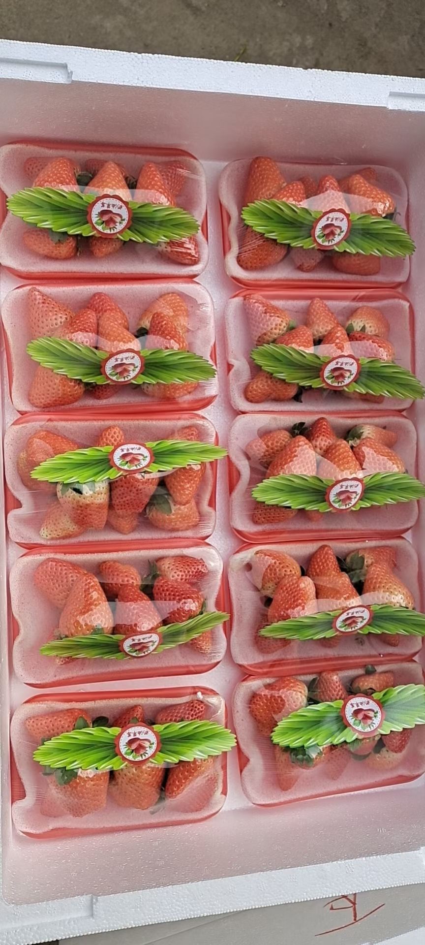 红颜草莓 品种齐价格优，水果店，蛋糕店，社区团购，街边摊货源