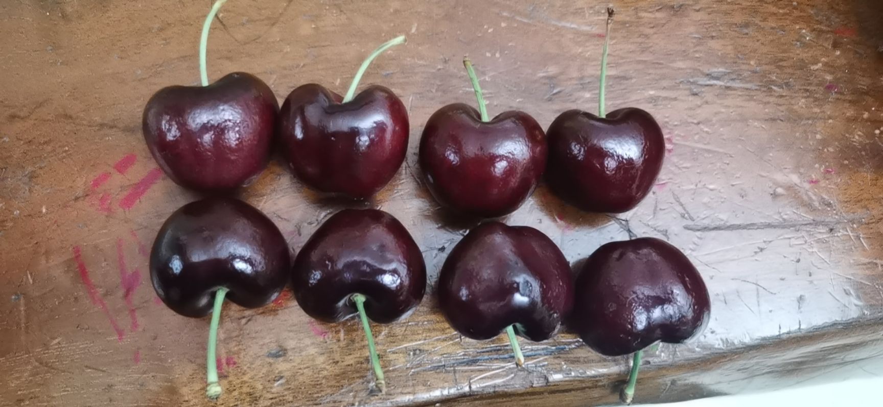 澳洲车厘子santina/桑提娜 大量供应3J4J智利车厘子