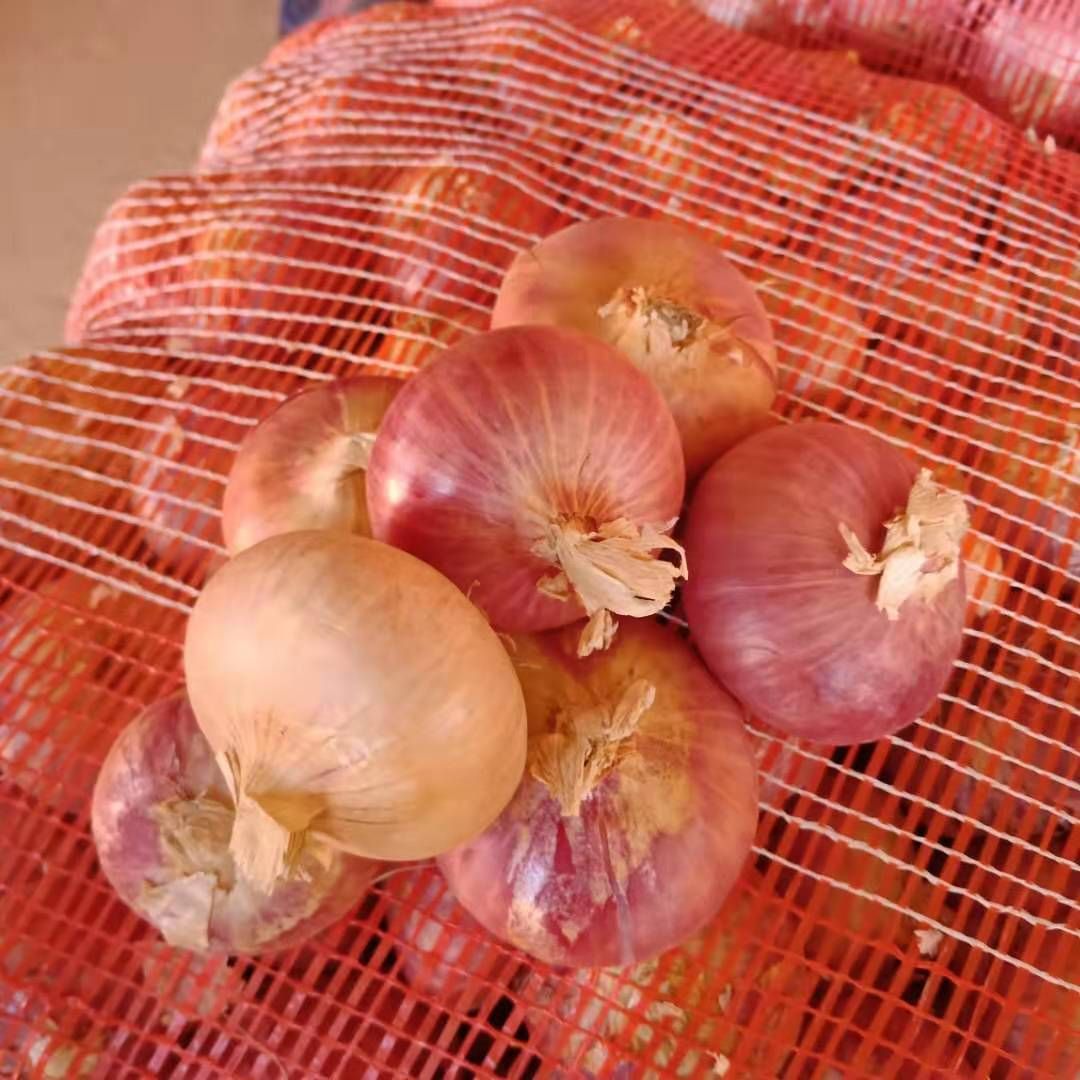 黄皮洋葱 缅甸洋葱，大量上市，价格优惠