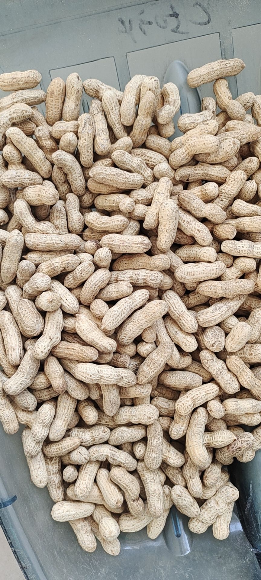  洮南本地四粒红精选果需要的联系我