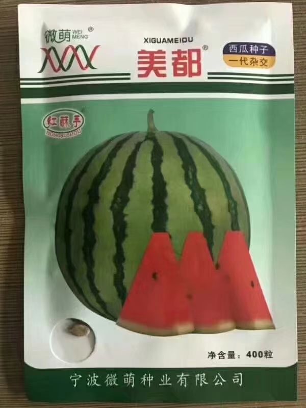 微萌美都西瓜苗口感好糖度高嫁接自根苗苗厂直发