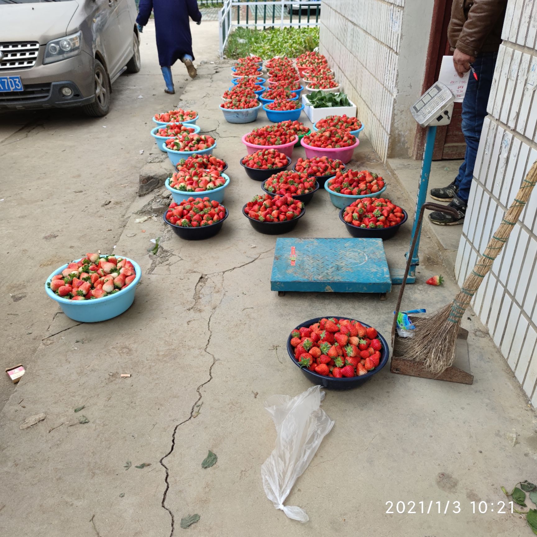 红颜草莓 品种齐价格优，水果店，蛋糕店，社区团购，街边摊货源