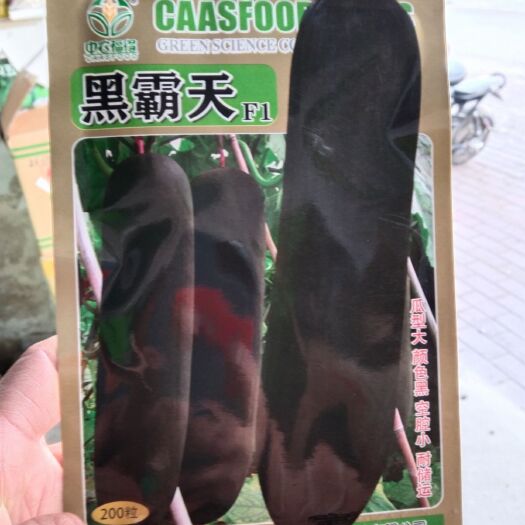 夏邑县冬瓜种子  瓜型大，颜色黑，空腔小，耐储运，果实长形，瓜型廋长。