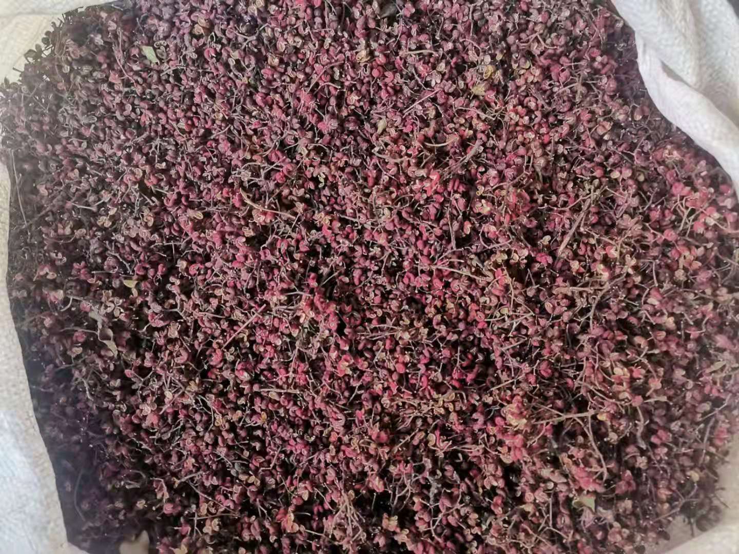 山西大红袍花椒