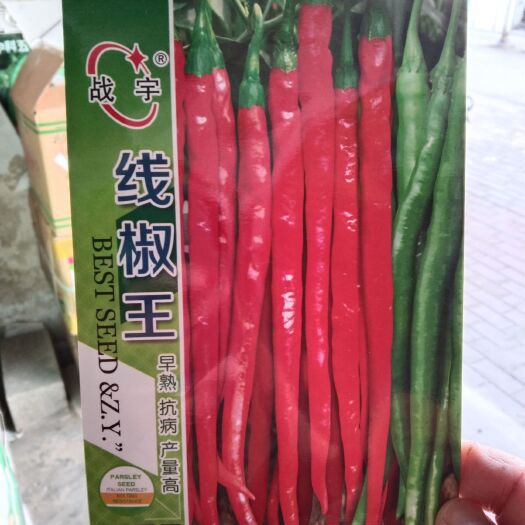夏邑县牛角椒种子  线椒种子，适合全国早春保护地，露天及秋延后栽培。