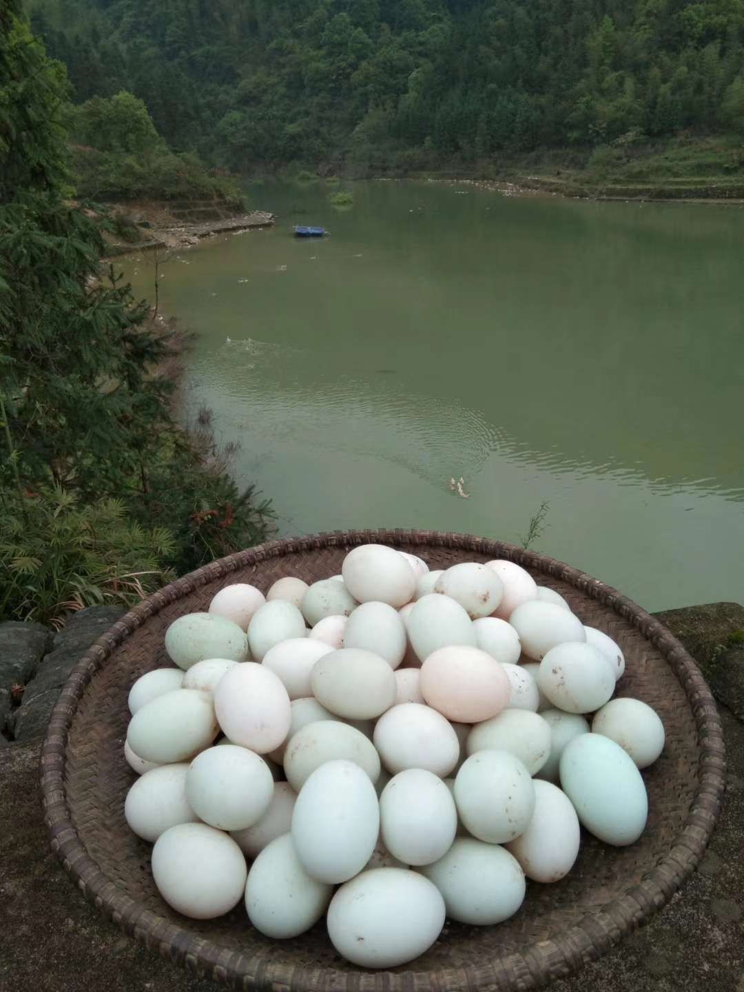 红心鸭蛋  新鲜鸭蛋