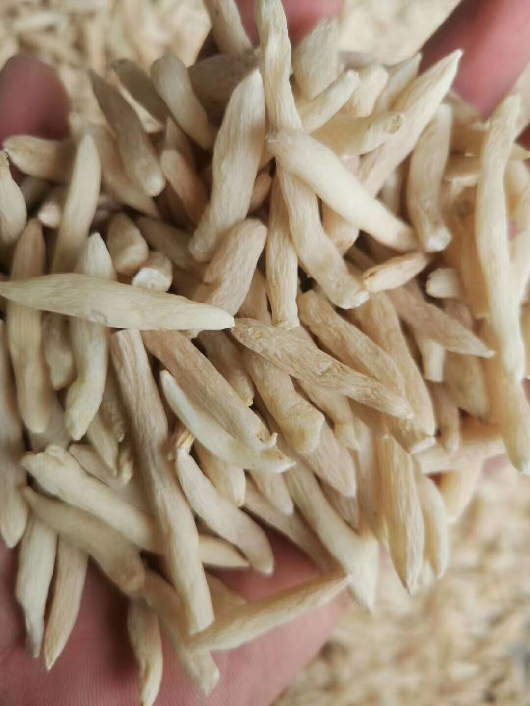 麦冬全场包邮！ 精选大宗批发价格麦门冬去小米角货去杂质