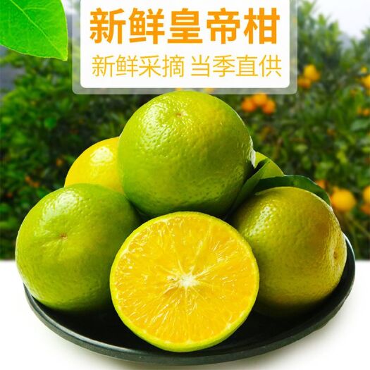 贺州 广西皇帝柑大果橘子新鲜水果包邮3/9斤贡柑桔子蜜桔柑