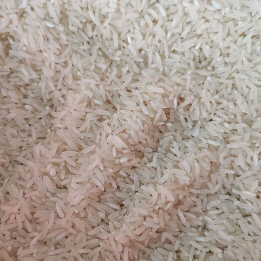 新干县高山生态大米  精品生态国香粘