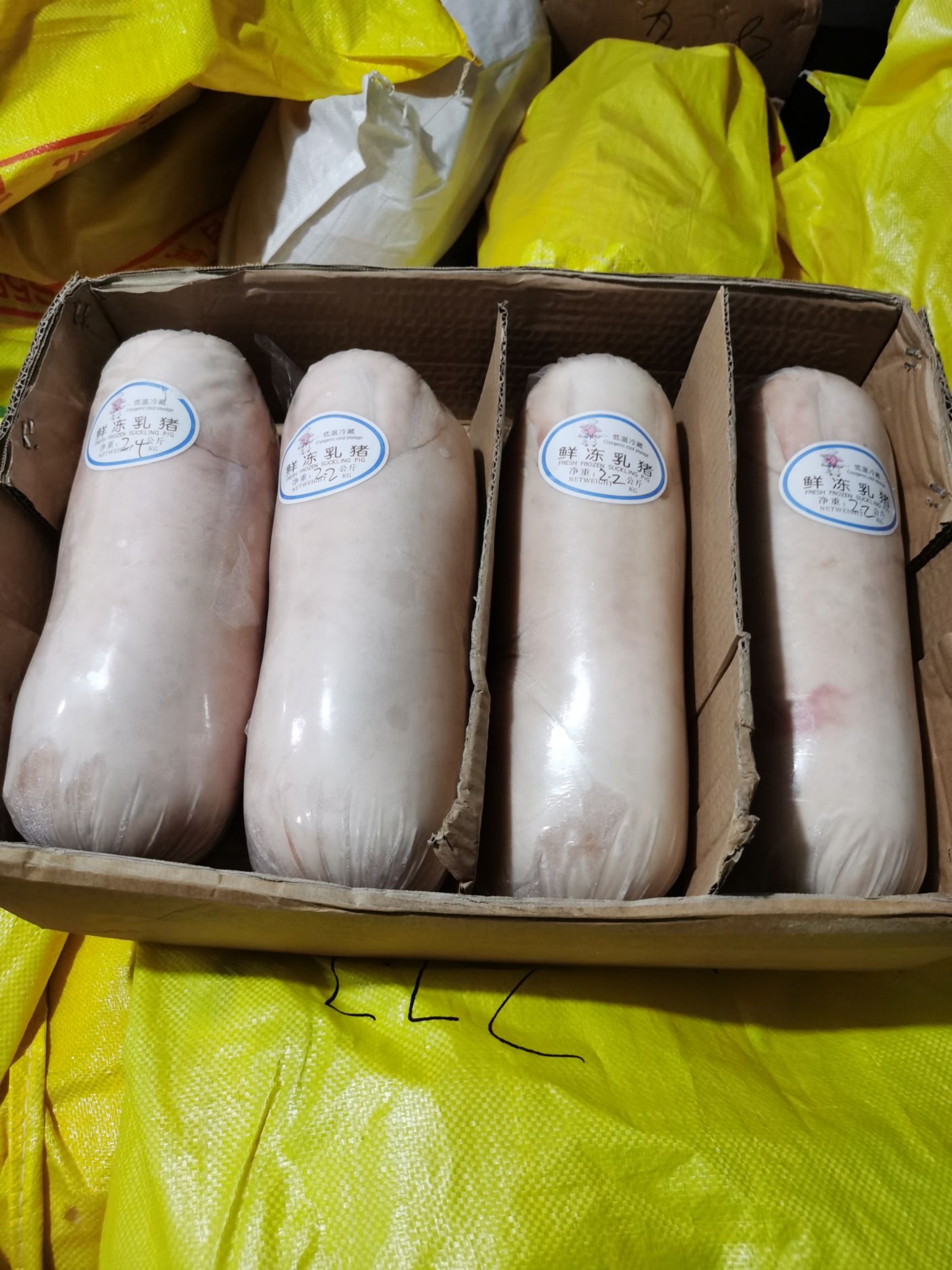 整头猪  冻乳猪，烤乳猪，乳猪，脆皮乳猪，小耳朵乳猪