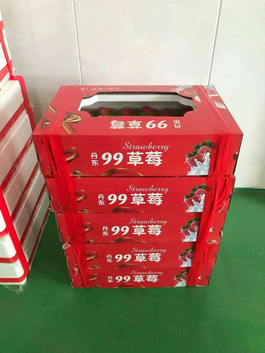 丹东草莓 丹东红颜草莓