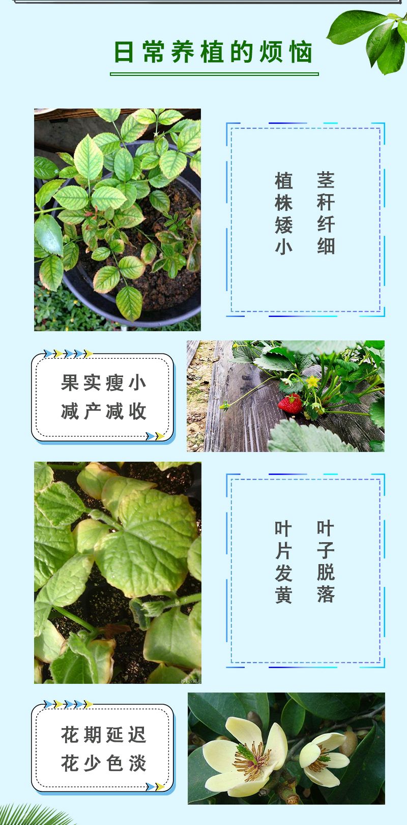 水溶肥  防冻套餐肥改良土壤吸收免深耕