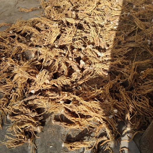 维西县 秦艽干货质量保证干度好