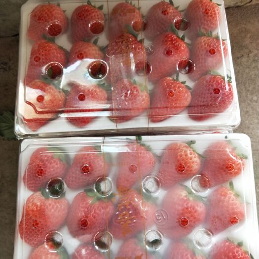 北京红颜草莓香甜美味
