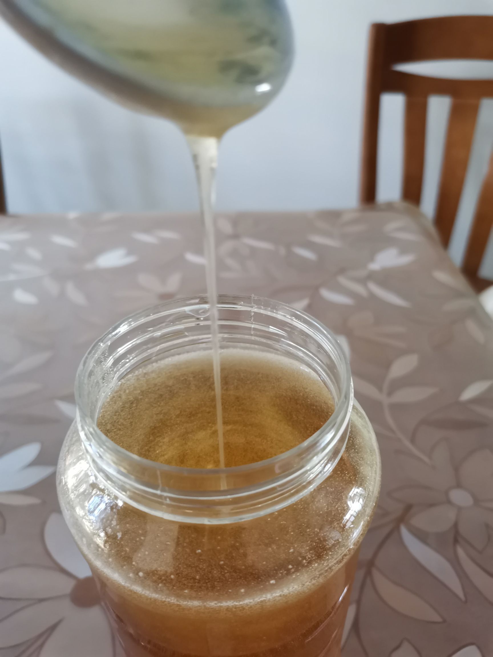 冬蜜  鸭脚木