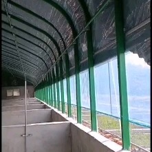 天津钢管大棚 
