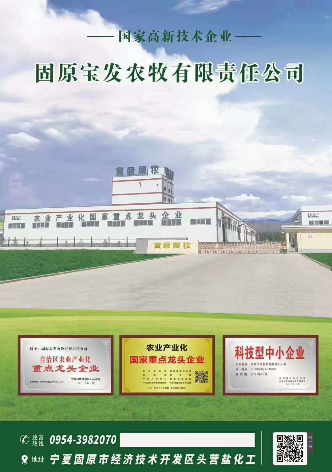 饲料添加剂  肉羊浓缩料宝发农牧