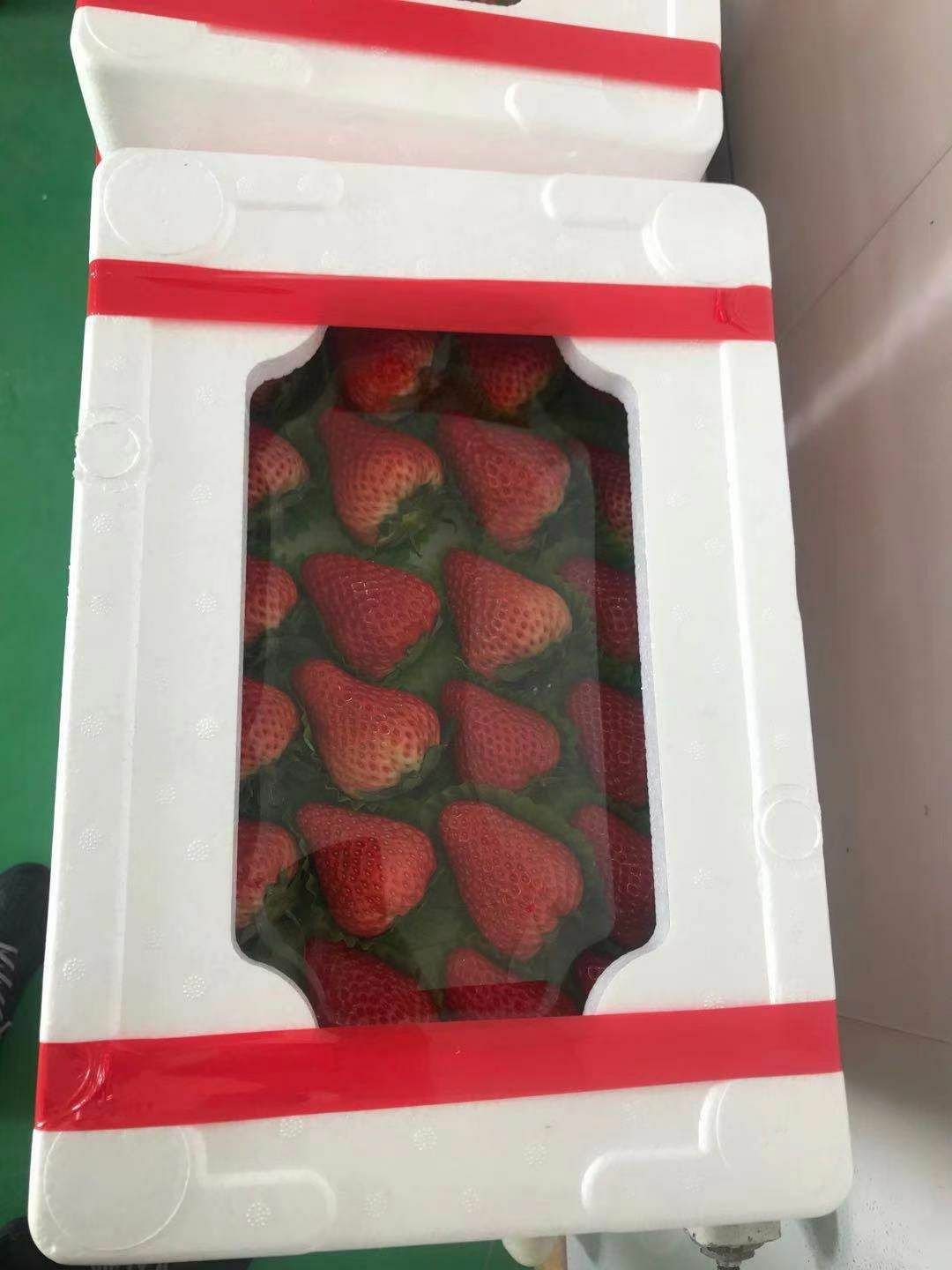 丹东草莓 丹东红颜草莓