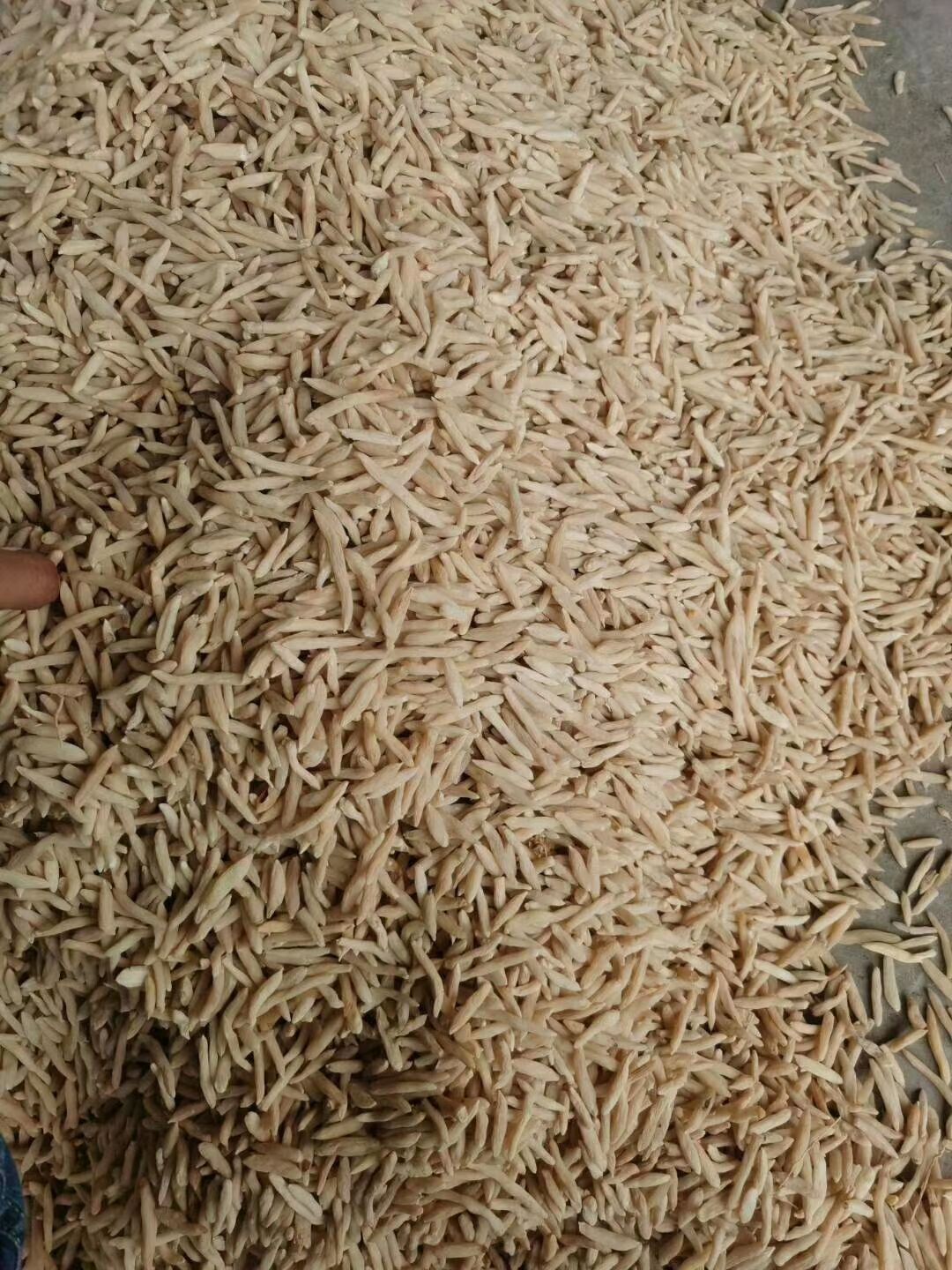 麦冬全场包邮！ 精选大宗批发价格麦门冬去小米角货去杂质
