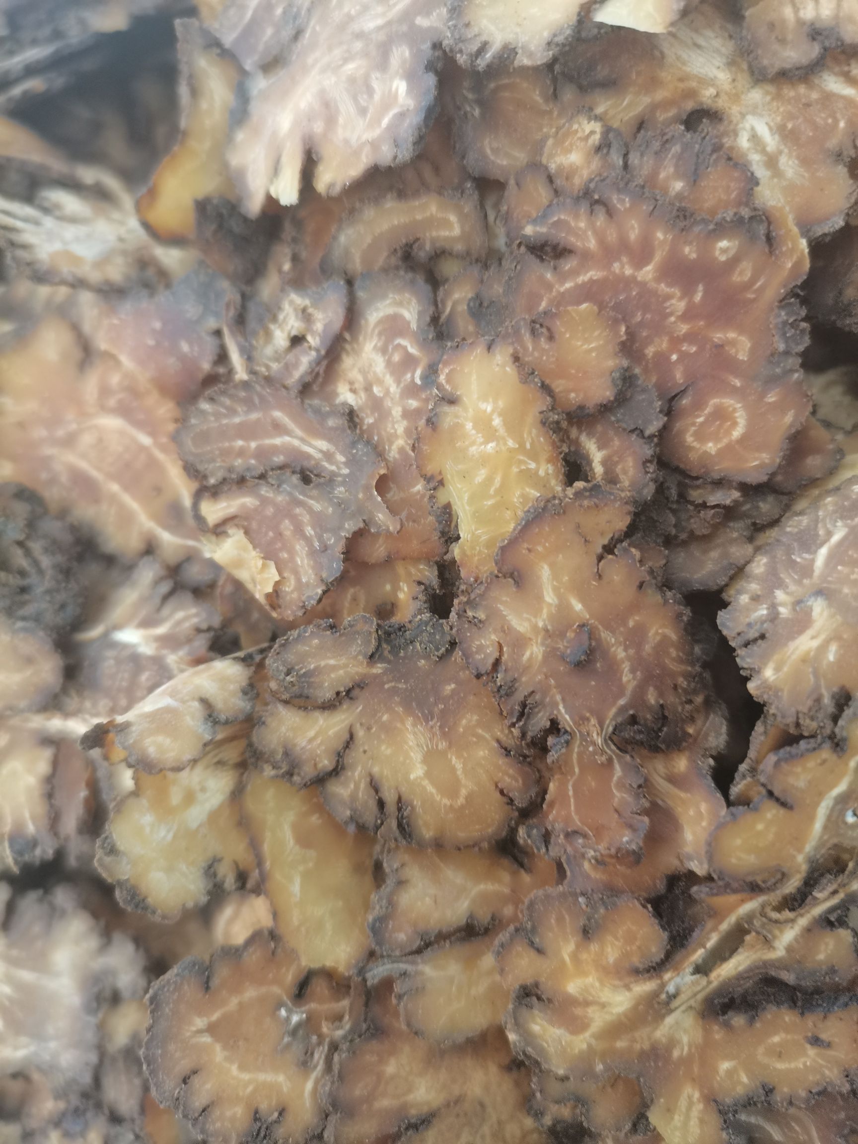 正品四川川芎无硫选片全干包含量包过检选片薄片批零兼营