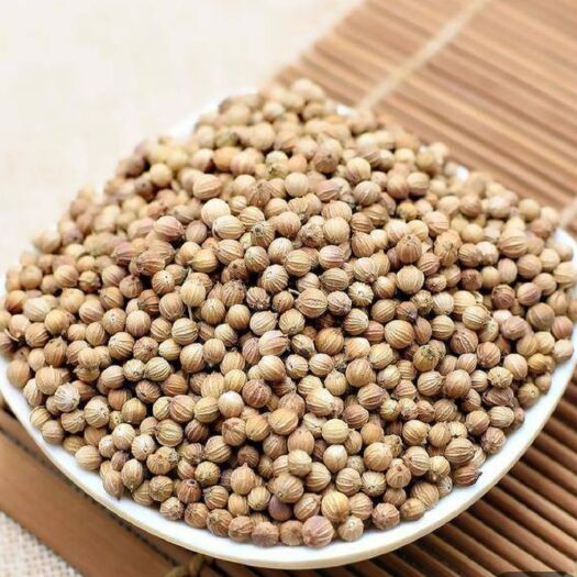 吉林市香菜种子 香菜籽