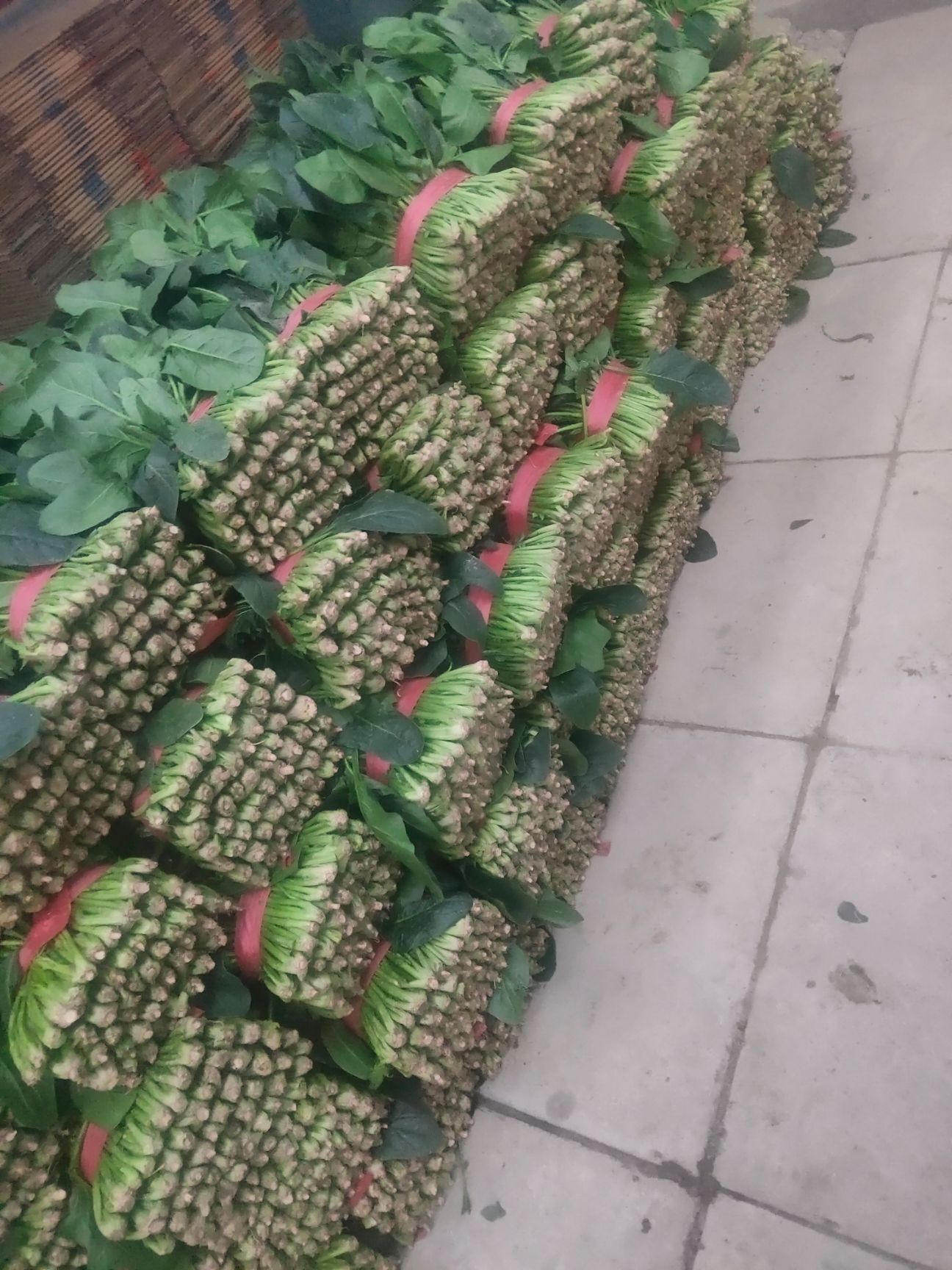  大叶菠菜