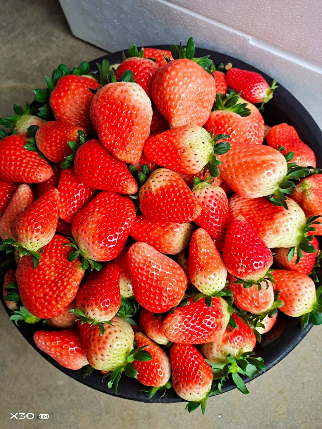 红颜草莓 品种齐价格优，水果店，蛋糕店，社区团购，街边摊货源