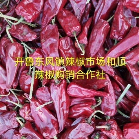开鲁县北京红干辣椒  大量供应内蒙开鲁北京红干椒各种花皮花皮