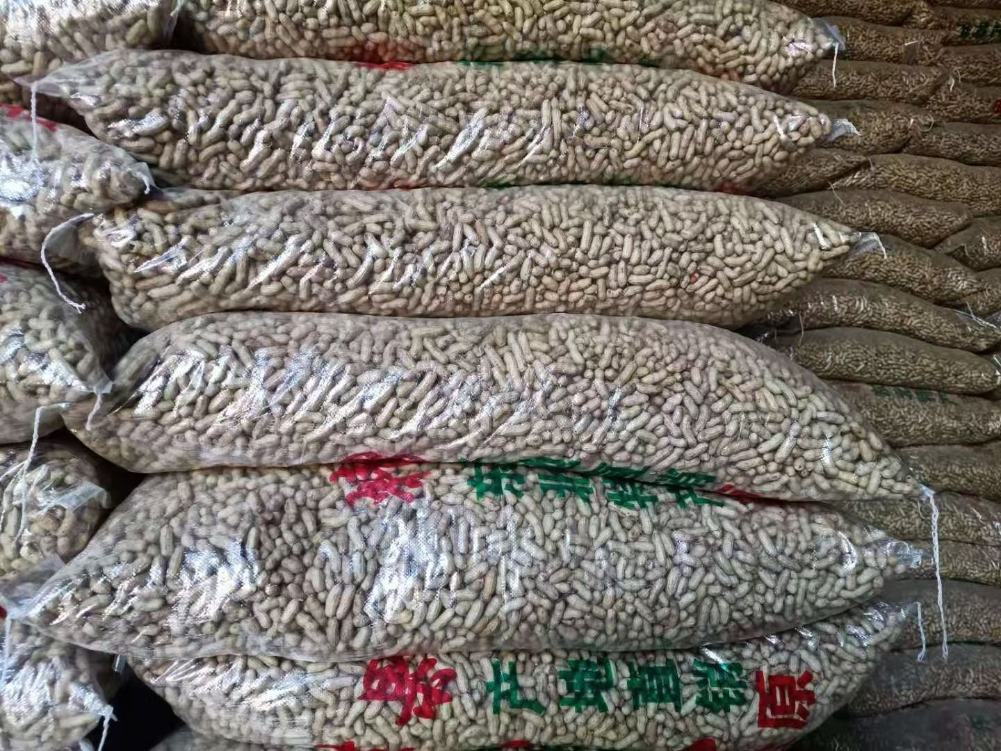  洮南本地四粒红精选果需要的联系我