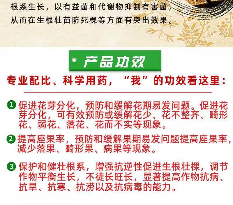 种植EM菌种  农业种植em菌复合菌改良土壤***病青枯病 稻瘟病细菌生物菌