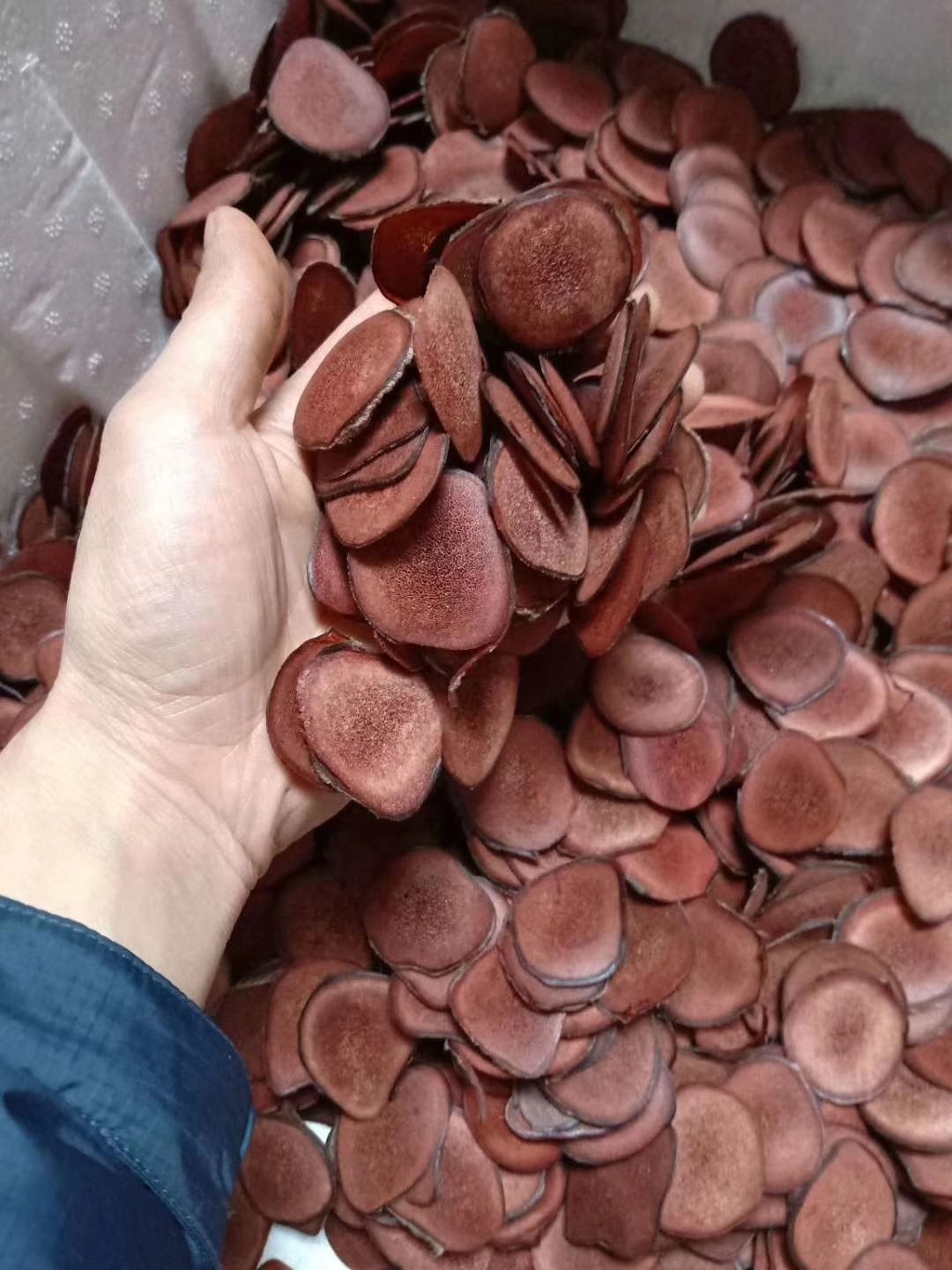 优质鹿茸红粉片，白粉片，泡酒片  新鲜切片