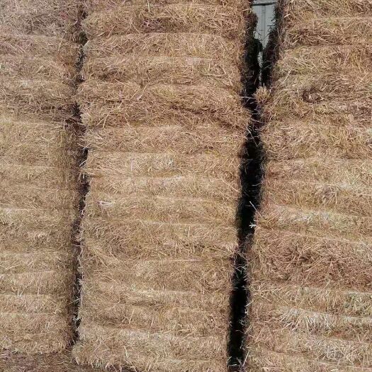 固镇县小麦秸秆 小麦草 麦草秸秆