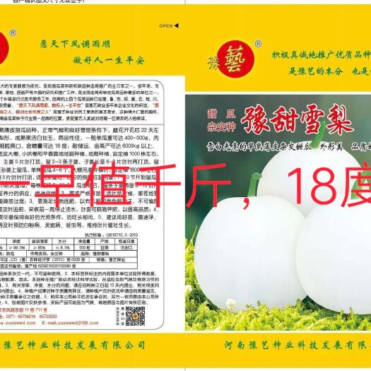 扶沟县雪梨甜瓜种子  豫甜雪梨甜瓜种~薄皮洁白如玉亩产6000公斤