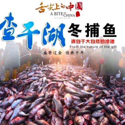 前郭县花白鲢  10斤198包邮
