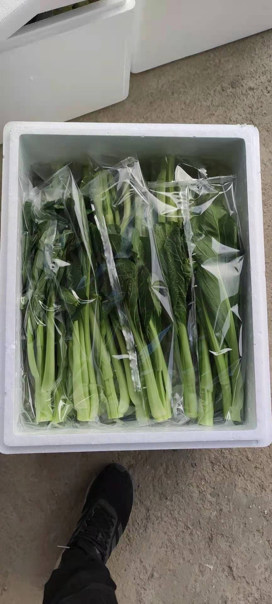 叶菜包装机/带透气孔（3～6）个/效率高