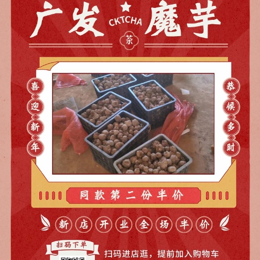 富源县魔芋种子  乒乓球大小的种子