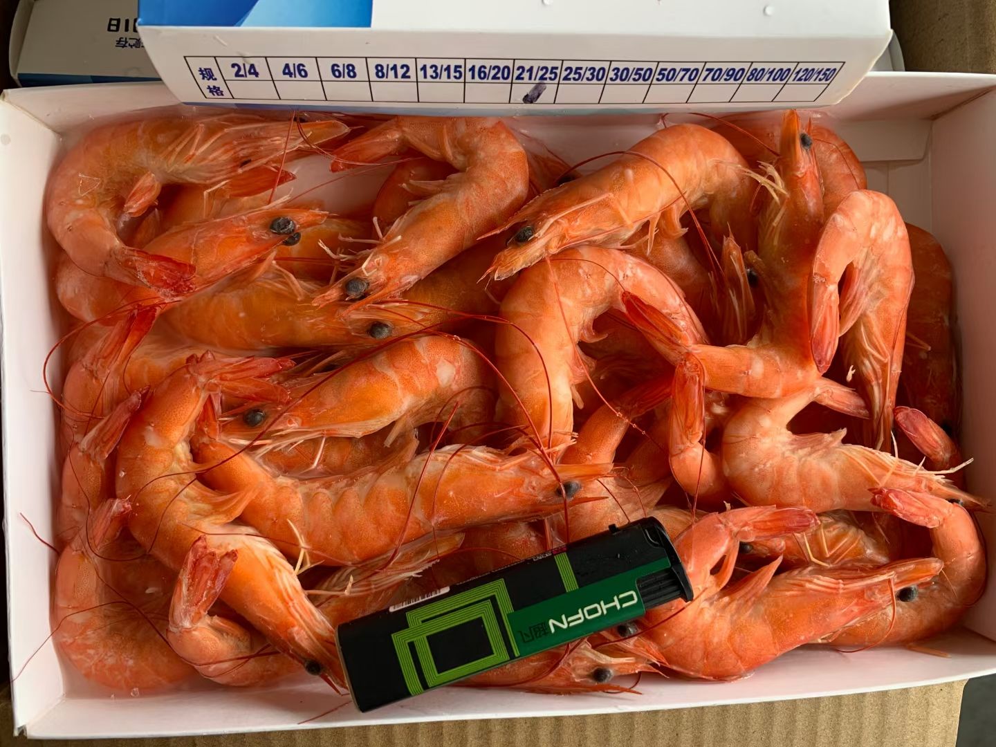 广州中国对虾  熟对虾，中国红对虾，饭堂专用