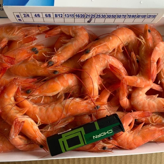 广州中国对虾  熟对虾，中国红对虾，饭堂专用