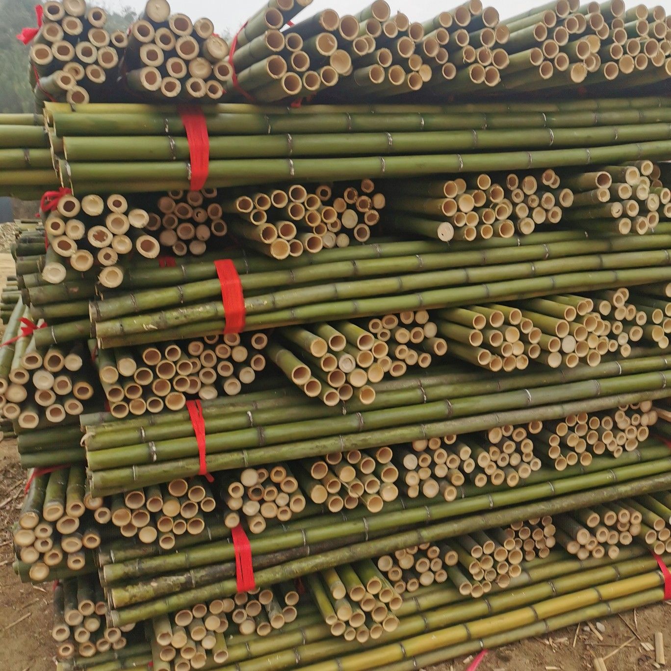 竹竿 楠竹毛竹 现货供应规格齐全量大从优