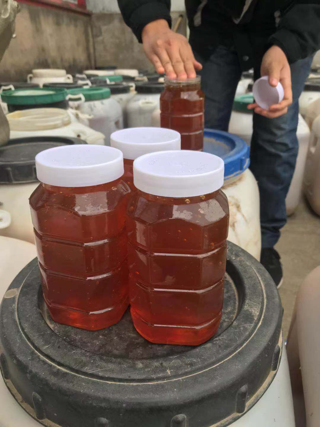蜂蜜大枣蜜天然原蜜农家自产土蜂蜜百花蜜枣花蜜500克1斤