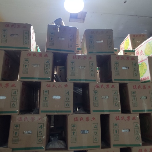 西安缅甸香蕉货