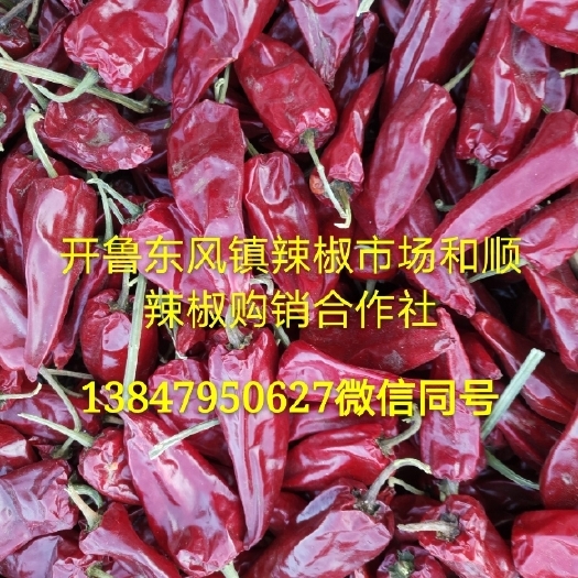 开鲁县北京红干辣椒  大量供应内蒙开鲁北京红干椒各种花皮