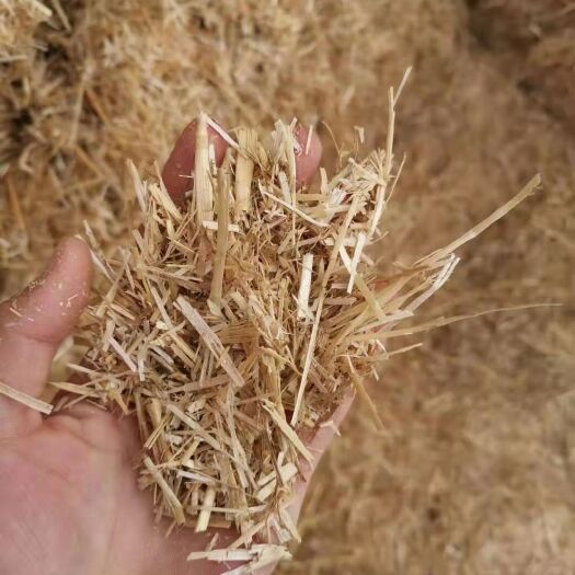 泗县大部分今年的小麦秸秆保存完好  粉碎柔丝 玉米秸秆少量