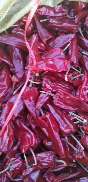 北京红干辣椒  大量供应内蒙开鲁北京红干椒各种花皮