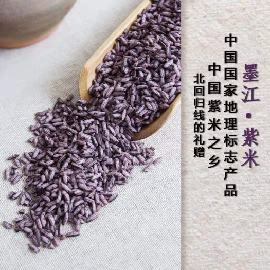 墨江县墨江紫米  墨江哈尼梯田紫米1000g包装包邮